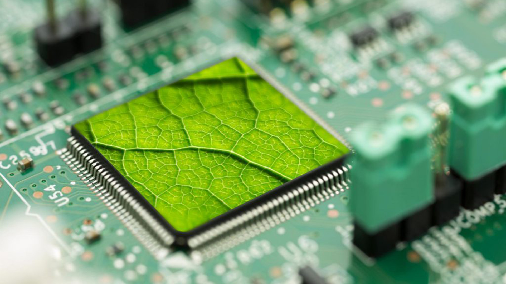 فناوری سبز؛ مسیر نوین توسعه پایدار در عصر دیجیتال