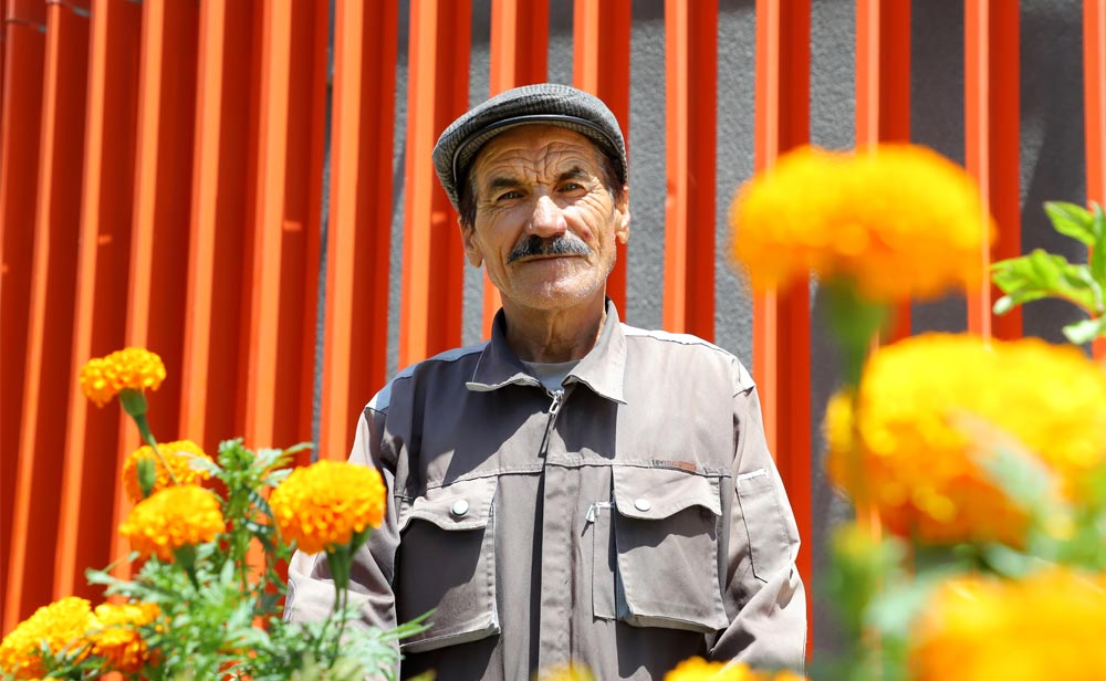 وقتی محیط کار، فقط جایی برای کار کردن نیست